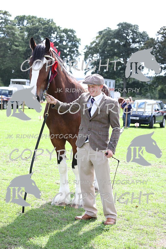 APP_3218 - Class 3 Youngstock