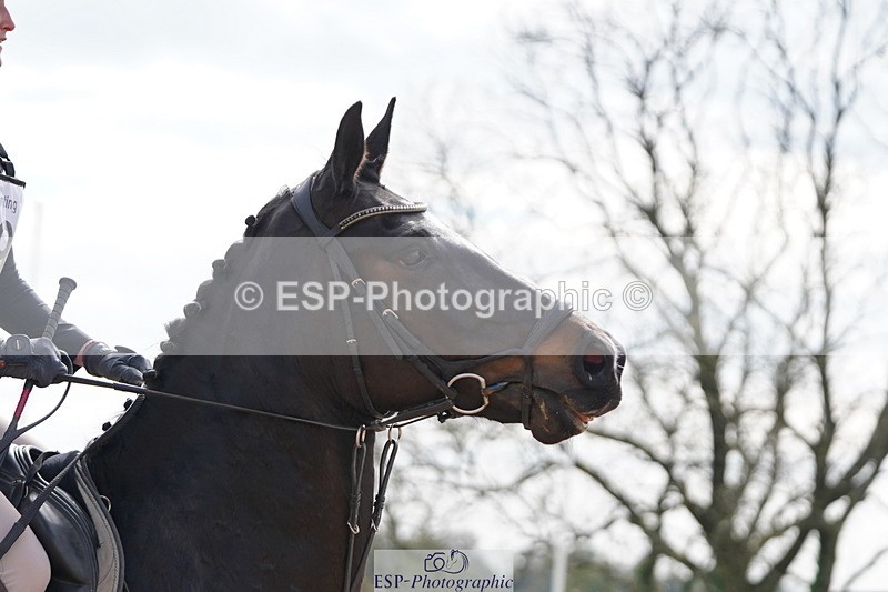 250419-153428-12952 - 669-Morwenna.Barnicoat-MIDNIGHT.ISABELLA