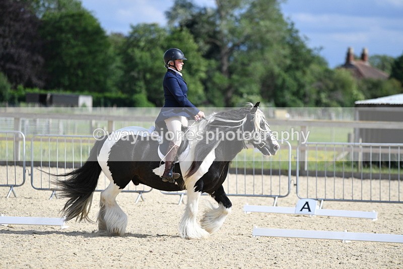 WJ5_7762 - Time 16:40 to 16:55