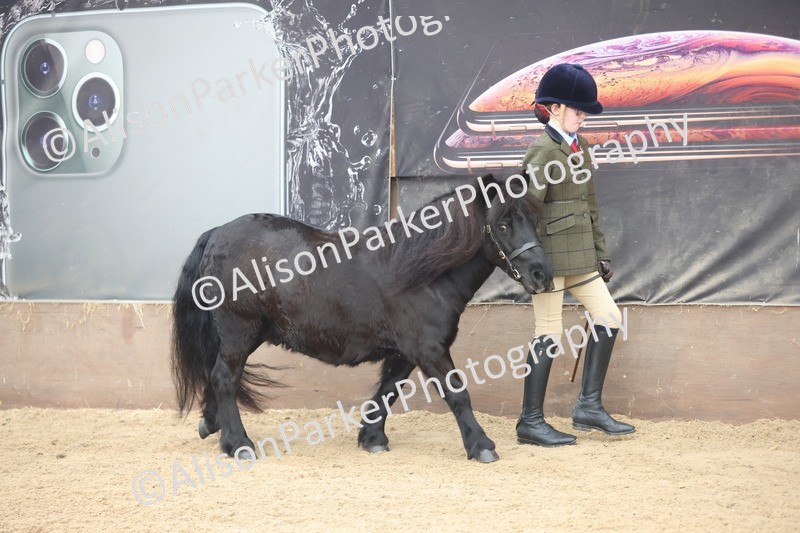 20251109-0146 - Class 8 - Young Handlers