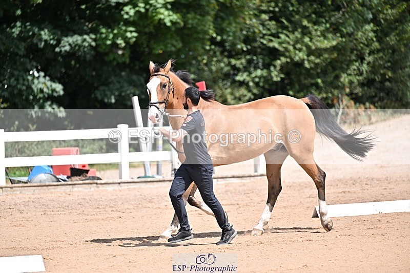 250716-125006-00194 - Trot Up 12.30 to 1.30