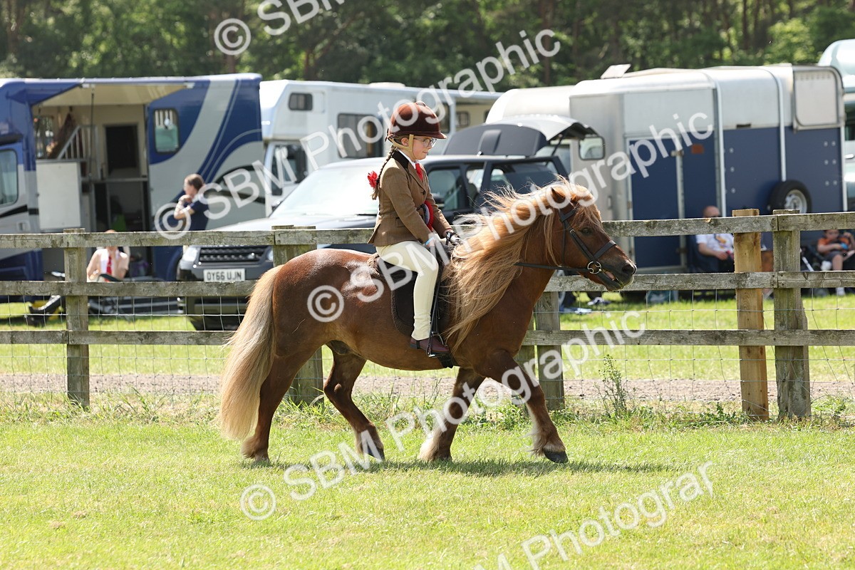 SBM_05435 - Class 24-25 - Mountain & Moorland In Hand Lead Rein and First Ridden