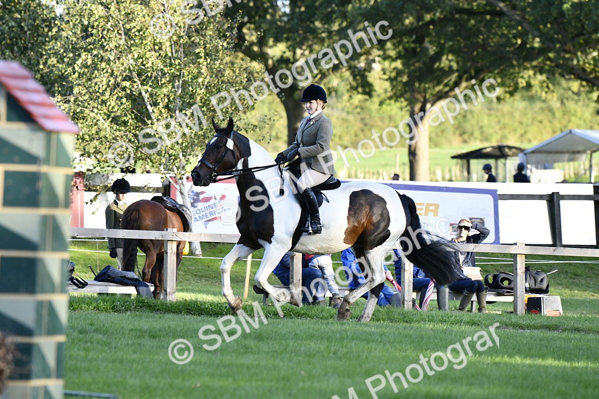SBM_53557 - S14 - Riding Club Horse