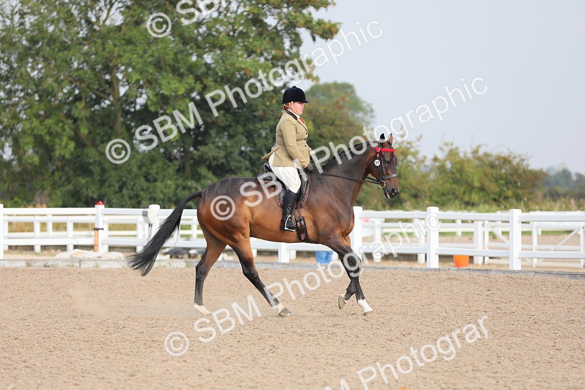 SBM_10673 - Class 303 Ridden Pure Bred Horse/Pony (excl M&M)