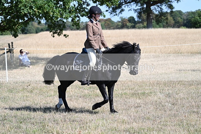 WJ7_3803 - Class 9 Mountain & Moorland Ridden
