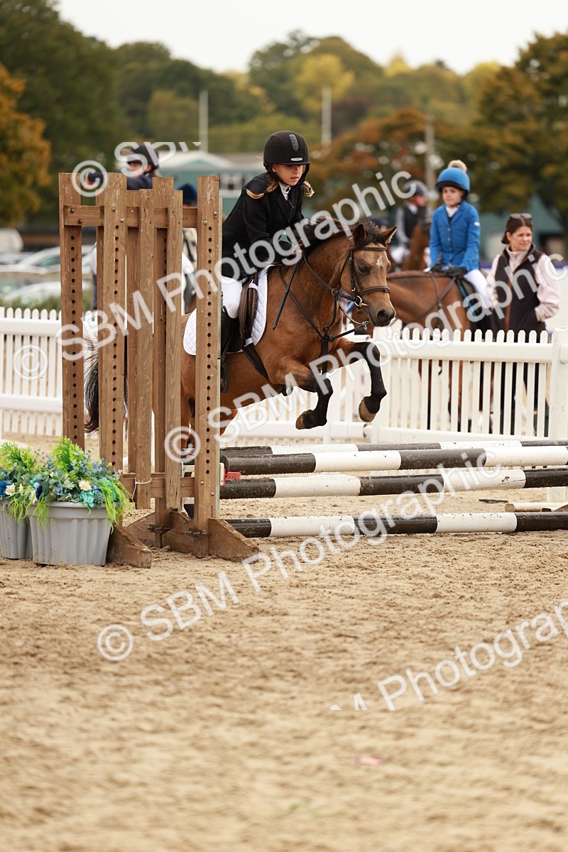 SBM_57825 - J11 - Junior Pony 50cm Championship
