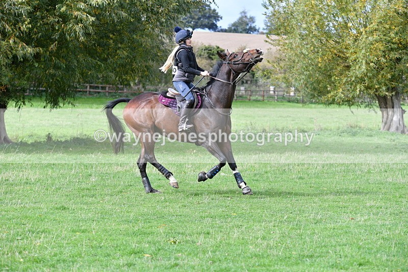 WJ5_9402 - Time 13:03 to 13:25