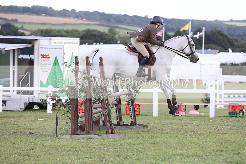 JPP_3649 - Class 24: Open Working Hunter