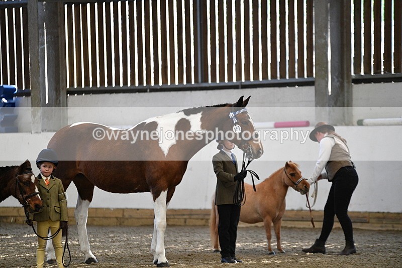 WJ5_3536 - Class 5 In Hand Veterans