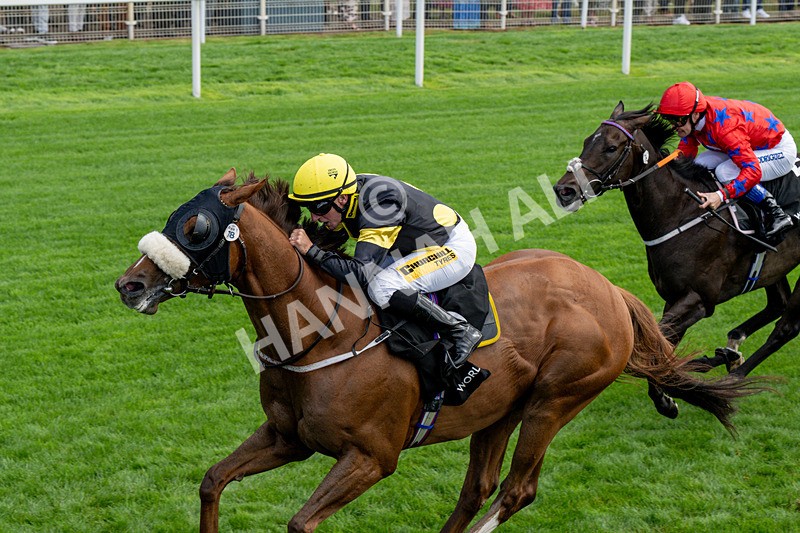 190826-Race 1-Air Force One-0157 - Race 1 13.50pm Hong Kong Jockey Club World Pool Handicap