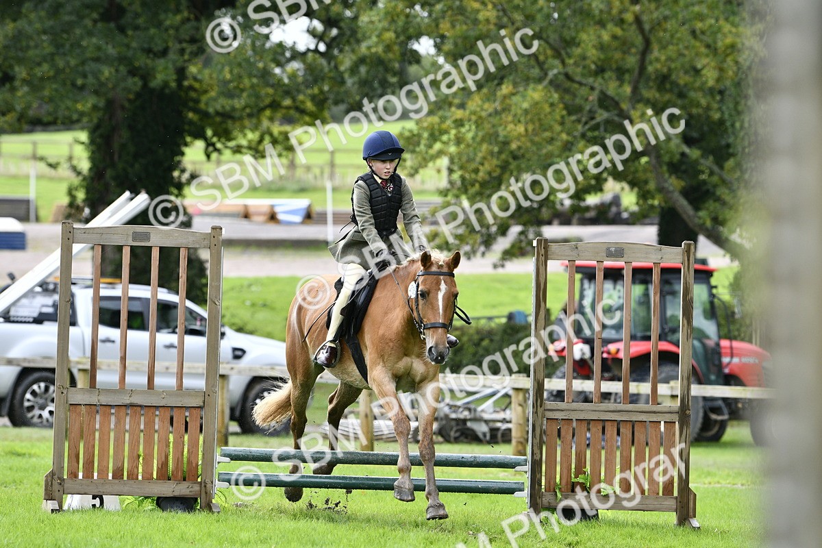 SBM_41481 - S32 - Mountain & Moorland Working Hunter Pony