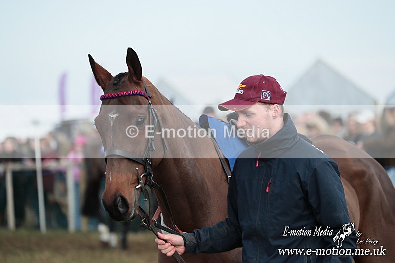 PtP 010325 541 - Beaufort Races Didmarton 01/03/25