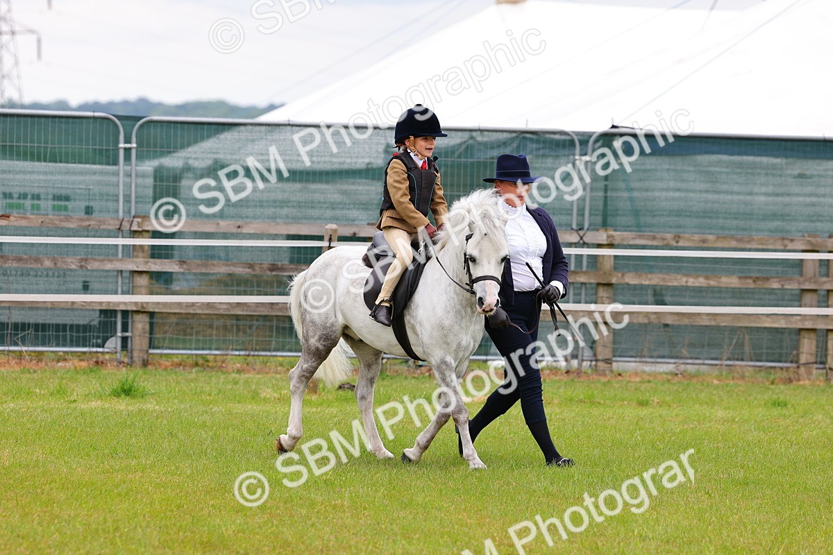 SBM_08140 - Class 42-43 - LIHS BSPS Heritage Working Sports Pony