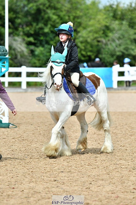 230804A-113253-02280 - Showjumping Competition