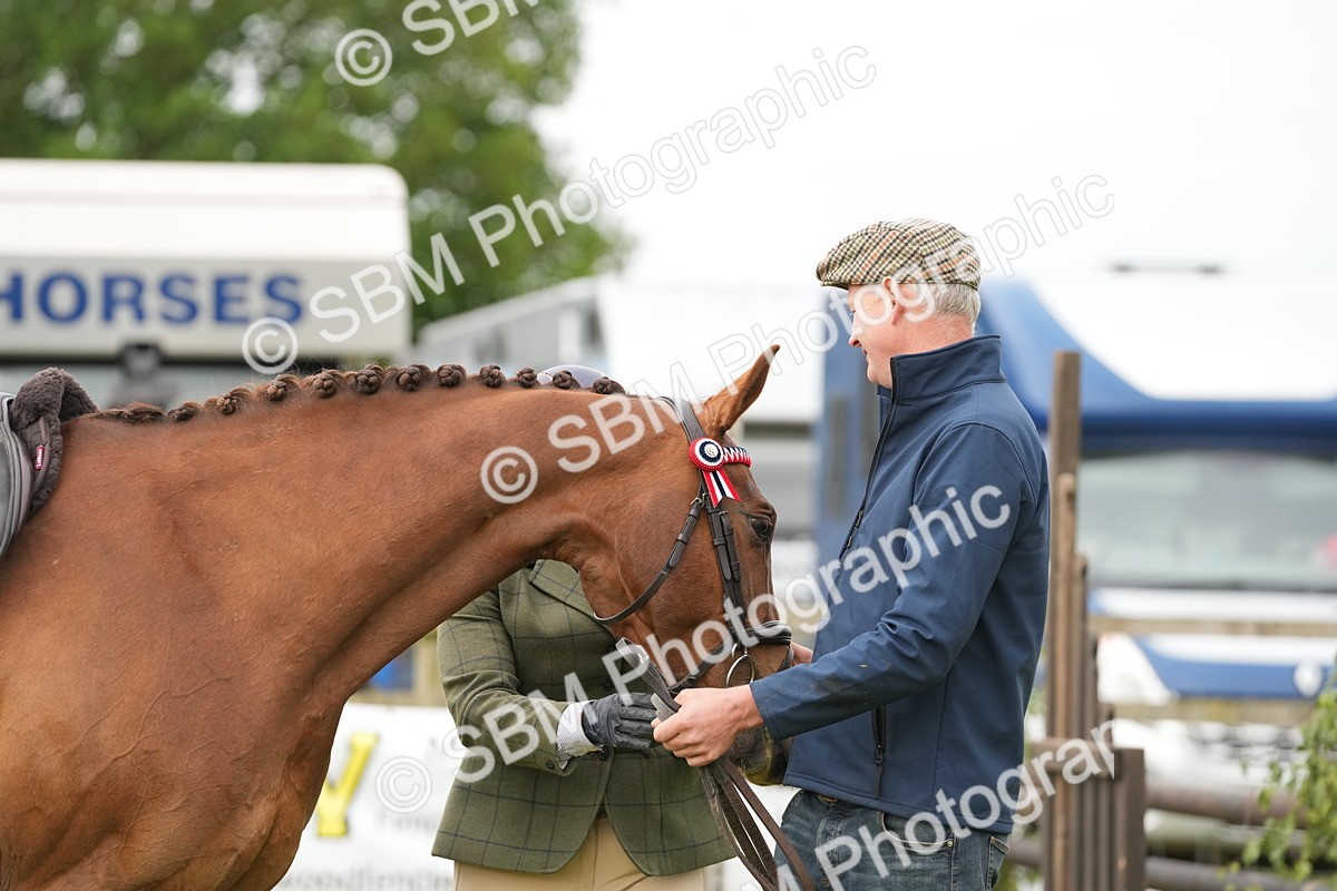 SBM_10639 - Class 97-98 - LIHS BSHA Rising Star Working Show Horse Hunter