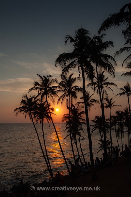 No. 0085 Coconut tree hill - Landscape