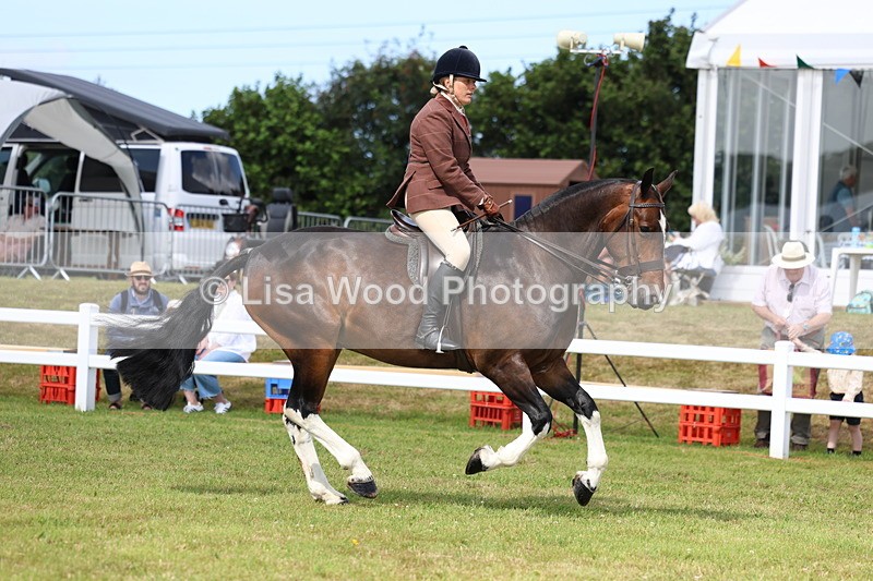 3E7A9721 - Class 5: Rising Star Lightweight/Heavyweight Cobs