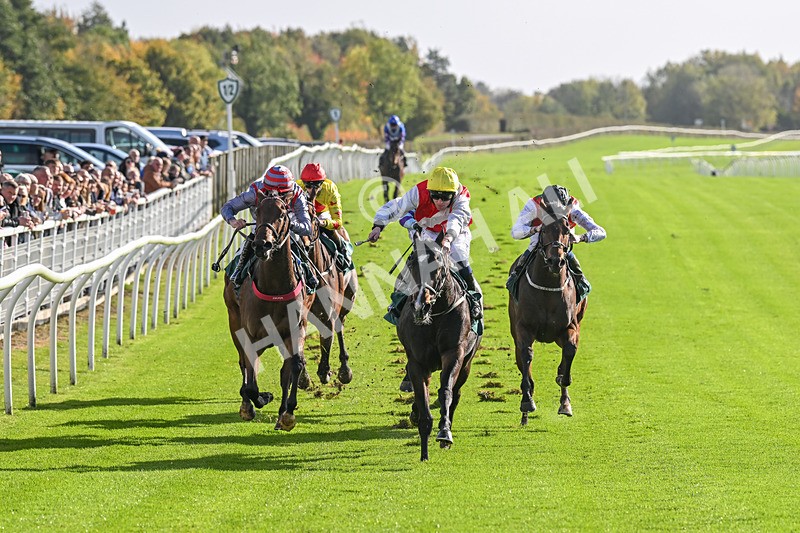 191024-Race 1-Obligatory-3805 - Race 1