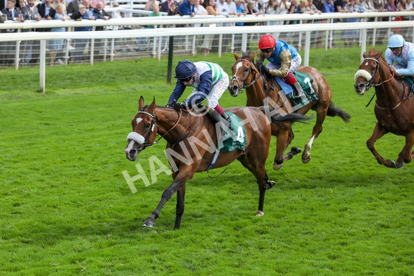 250823-Race 2-Coltrane-5818 - Race 2 2.25pm Weatherbys Hamilton Lonsdale Cup Stakes