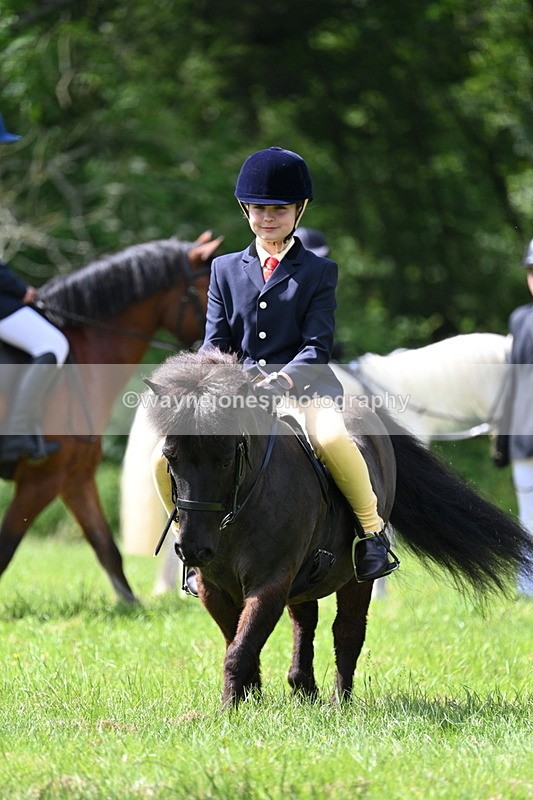 WJ7_1383 - Class 11 Condition & Turnout