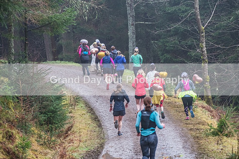 Glentress 21  10K-1901 - High Terrain Events Glentress 21 & 10K Trail Runs Saturday 18th February 2023