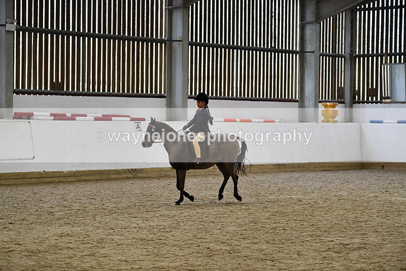 WJ5_6957 - Class 10 Childs Pony