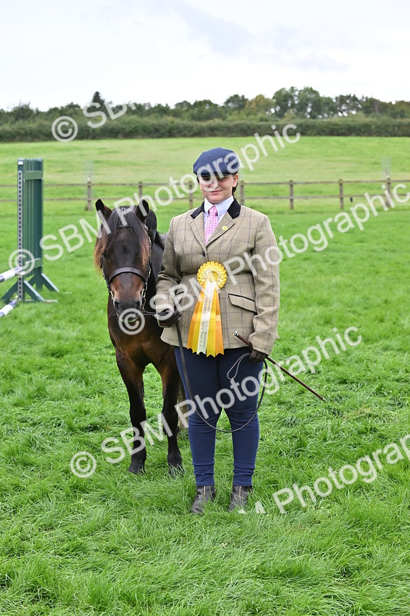 SBM_61079 - S48 - Mountain & Moorland In Hand Small Breeds