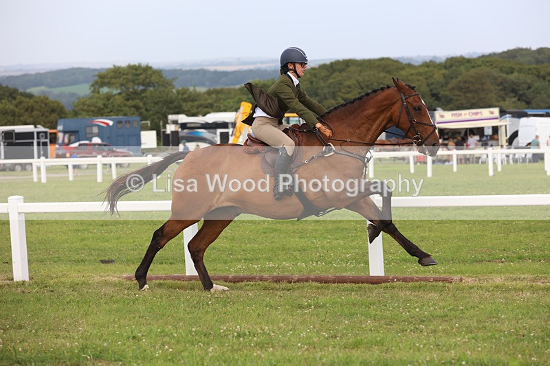 JPP_4459 - Class 26: Working Hunter 1m