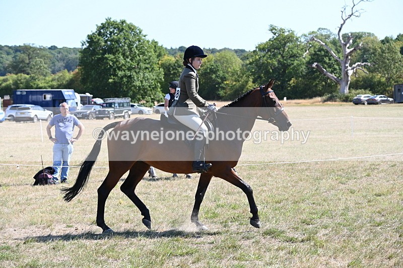 WJ6_8366 - Class 37a Best Loan Pony Ridden