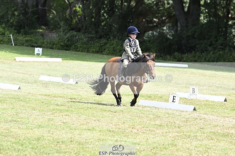 250822A-115659-22469 - DR 11.00 to 12.00