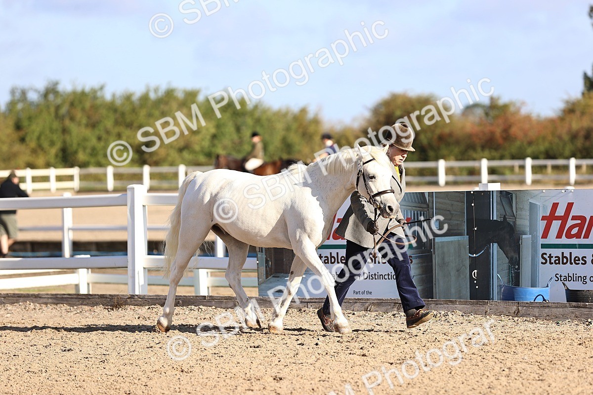 SBM_08458 - Class 402 - IH Veteran Pony