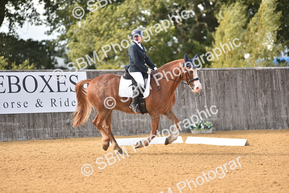 SBM_24381 - D4 - Small Tour Championship Intro 4