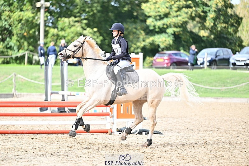 251005A-135424-04208 - Cls 09 Nov 80-85cm