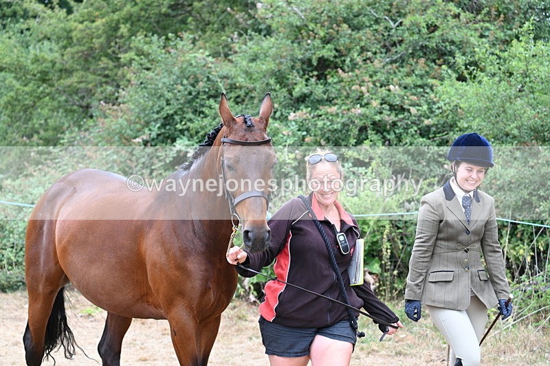 WJ7_8641 - Class 4a Prettiest Mare 14.2hh and over