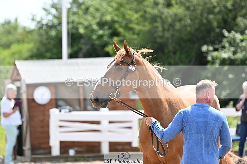 240717A-150606-02540 - Trot Up 3pm to 4pm