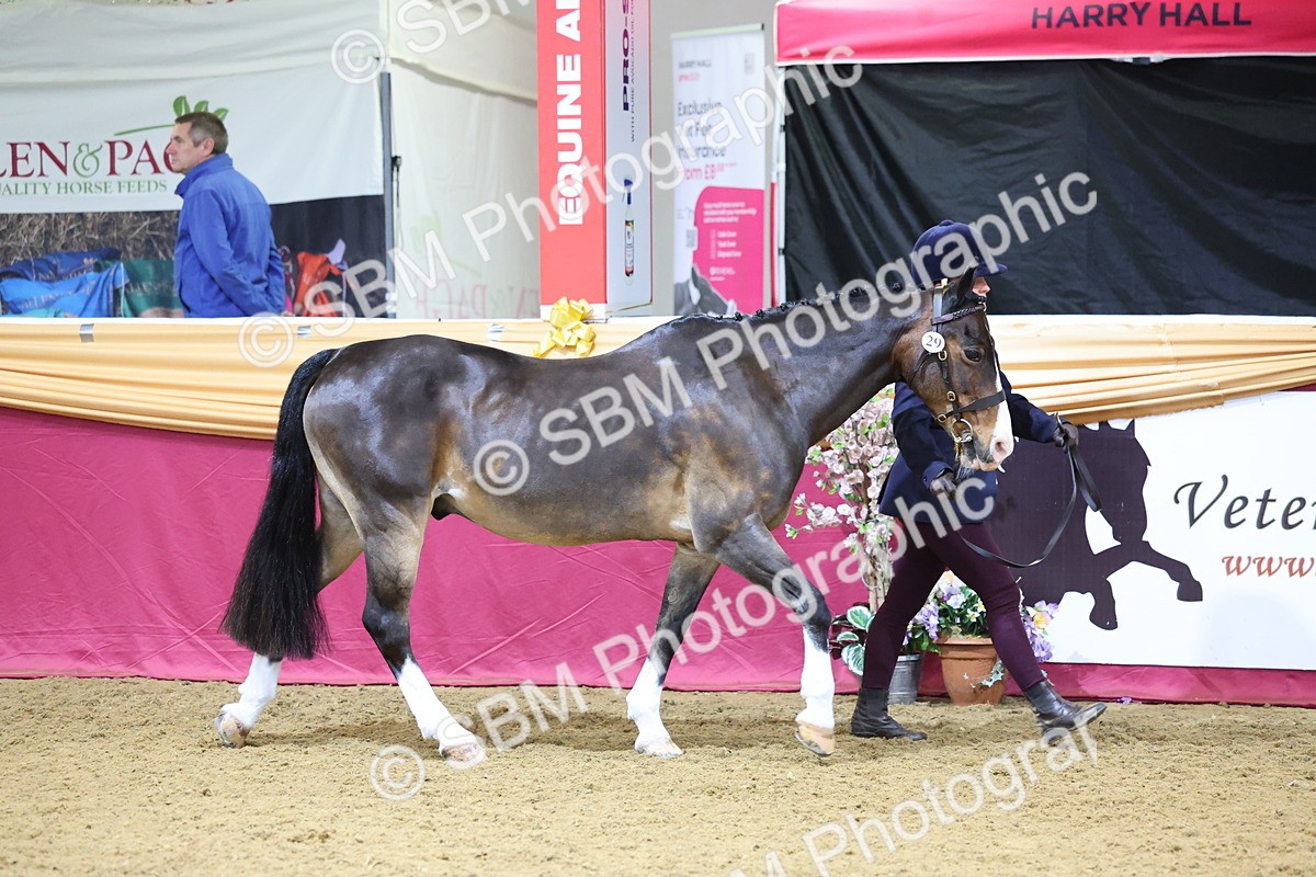 SBM_19360 - Class 901 - Supreme Final - IH Diamond