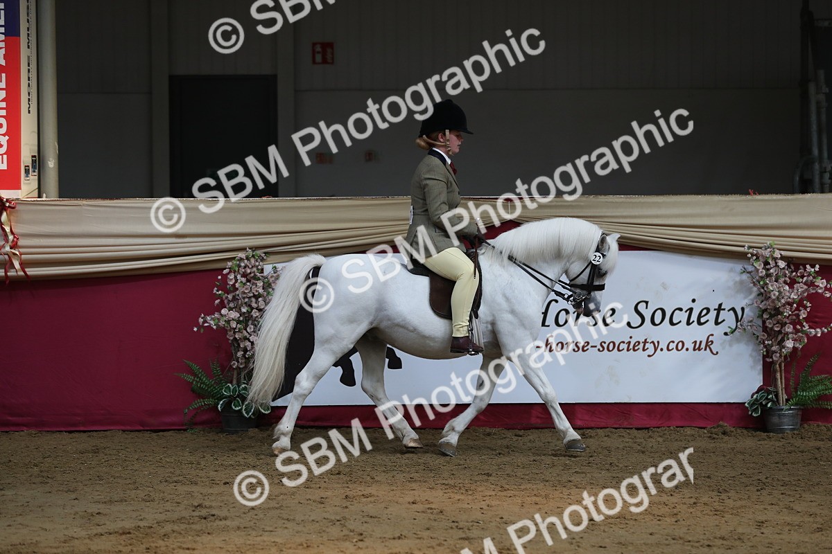 SBM_08276 - Class 11R Regional Ridden Veteran