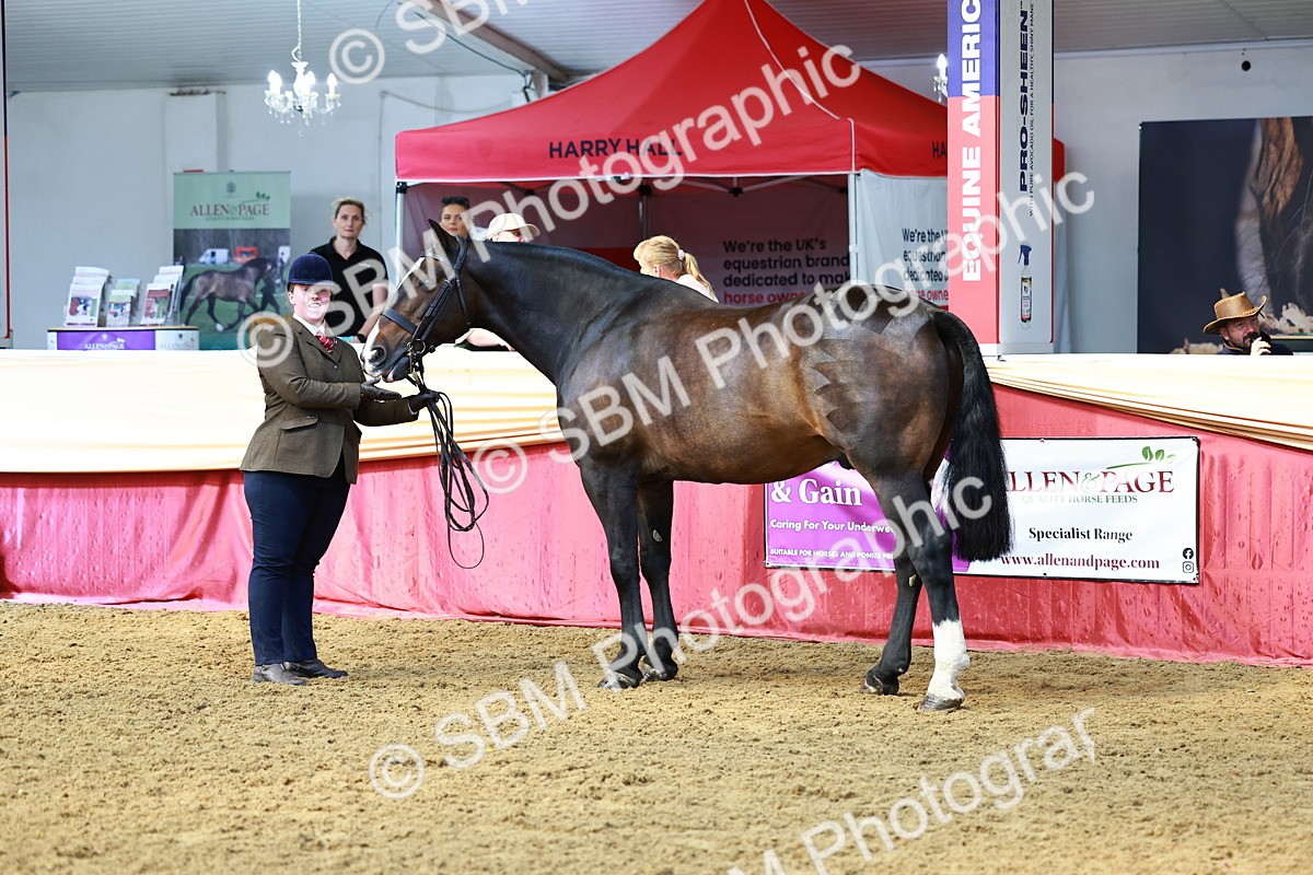 SBM_23253 - Class 903 - Supreme Final - IH Pre Vet