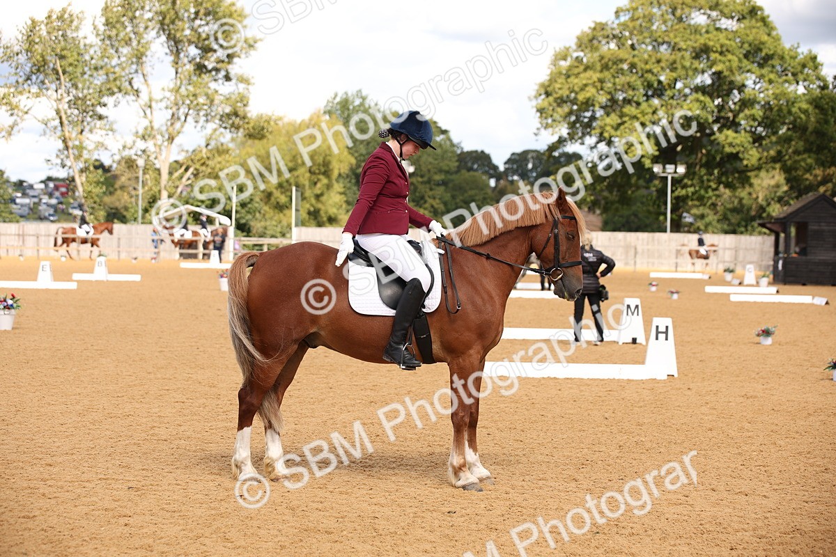 SBM_06754 - D8 Small Tour Championship Prelim 7