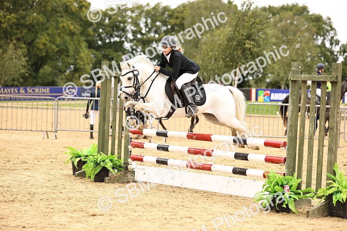 SBM_64853 - J17 - Junior Pony 80cm Championship