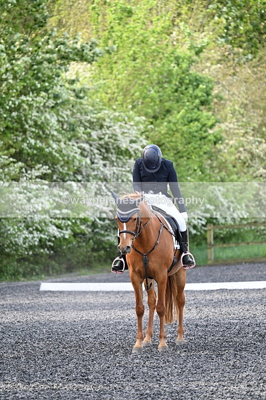 WJ7_7946 - Time 10:11 to 10:27