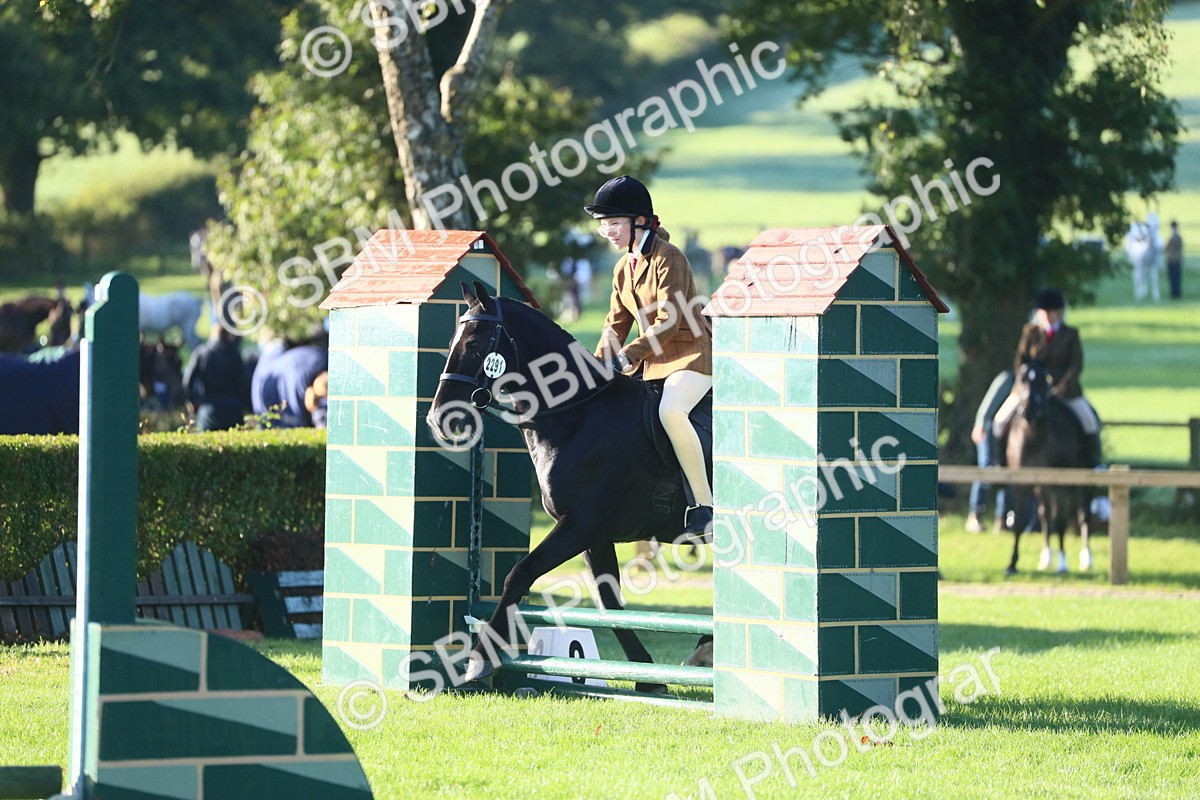 SBM_37351 - S29 - Novice & Newcomers Working Hunter Pony