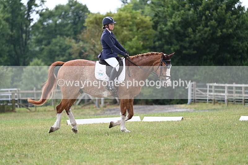 WJ7_5883 - Time 11:52 to 12:10