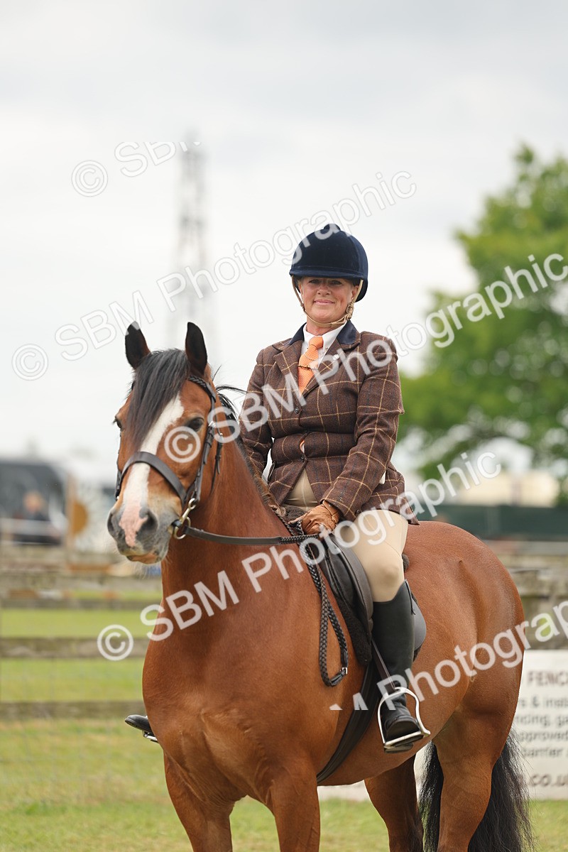 SBM_07244 - Class 76-77 - Ridden M&M Welsh Ponies