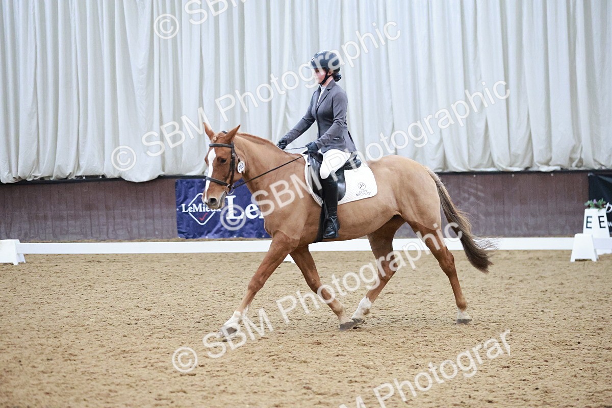 SBM_004659 - Ring 3 - International -  Working Hunter Classes 23-2-25