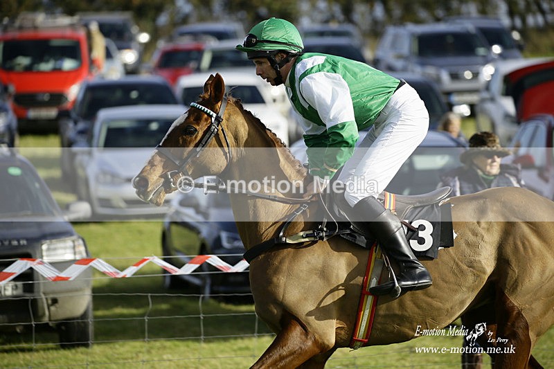 PtP 300122 321 - South Dorset Hunt - Point-to-Point Races 30/01/2022