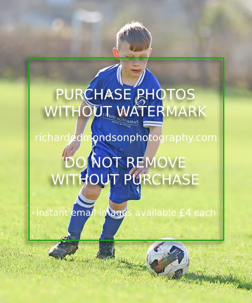 533A7844 - Ibis Under 8's (14/3/26)