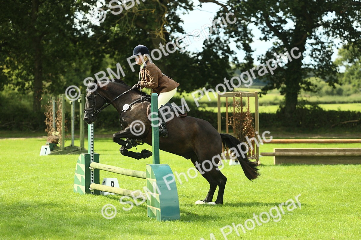 SBM_42878 - S30 - M&M Working hunter Pony