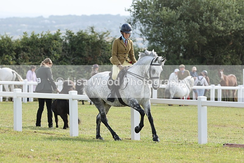 JPP_0774 - Class 16: Cornish Combination Young Rider