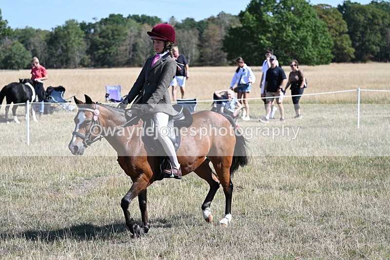 WJ7_4073 - Class 9 Mountain & Moorland Ridden